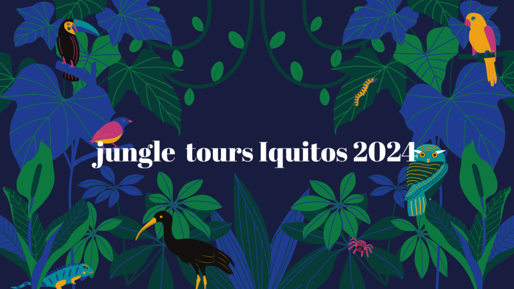 The complete guide of Amazon Jungle Tours in Iquitos, Perú (updated 2024)
